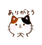 うちの子スタンプ 三毛猫（個別スタンプ：19）