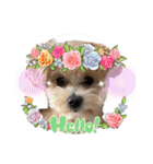 ろあちゃんすたんぴー（個別スタンプ：2）