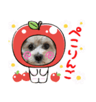 ろあちゃんすたんぴー（個別スタンプ：4）