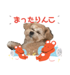 ろあちゃんすたんぴー（個別スタンプ：14）