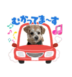 ろあちゃんすたんぴー（個別スタンプ：18）