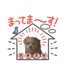 ろあちゃんすたんぴー（個別スタンプ：19）