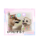 ろあちゃんすたんぴー（個別スタンプ：20）
