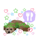 ろあちゃんすたんぴー（個別スタンプ：21）