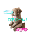 ろあちゃんすたんぴー（個別スタンプ：26）
