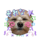 ろあちゃんすたんぴー（個別スタンプ：28）