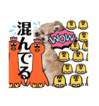 ろあちゃんすたんぴー（個別スタンプ：29）