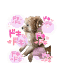 ろあちゃんすたんぴー（個別スタンプ：31）