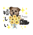 ろあちゃんすたんぴー（個別スタンプ：38）