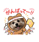 ろあちゃんすたんぴー（個別スタンプ：40）