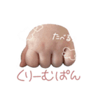 「愛しき白ちゃん」part2（個別スタンプ：24）