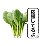 リアルな野菜で挨拶・会話をしよう！（個別スタンプ：8）