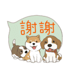 犬家族 - プードル三匹の姉妹と友達（個別スタンプ：9）