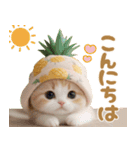 パイナップル帽が可愛い スコティッシュ猫（個別スタンプ：2）