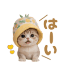 パイナップル帽が可愛い スコティッシュ猫（個別スタンプ：7）