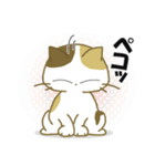 みけ猫みけさん9（個別スタンプ：13）