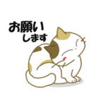 みけ猫みけさん9（個別スタンプ：19）