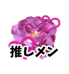 推し活に花を♪（個別スタンプ：21）