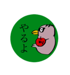 目力の強いトリ（個別スタンプ：2）