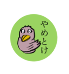 目力の強いトリ（個別スタンプ：3）