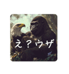 ゴリ鷹そしてゴリ鷹よ（個別スタンプ：2）
