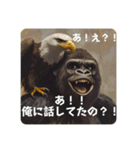 ゴリ鷹そしてゴリ鷹よ（個別スタンプ：16）