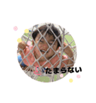 かわいいテオくん（個別スタンプ：1）