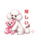 ふわもこプードルとピンクくまの日常（個別スタンプ：15）