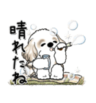 シーズー犬【秋・Part 2】2024（個別スタンプ：3）