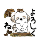 シーズー犬【秋・Part 2】2024（個別スタンプ：30）