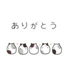 群れてるねこスタンプ（個別スタンプ：1）