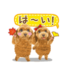 かわいい犬たち❤️よく使う秋❤︎プードル（個別スタンプ：6）