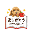 かわいい犬たち❤️よく使う秋❤︎プードル（個別スタンプ：8）