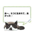 チョコ色猫のメッセージスタンプ（個別スタンプ：7）