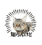 あまふあスタンプ（個別スタンプ：18）