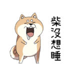 過剰反応する柴犬（個別スタンプ：13）