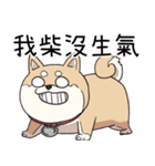 過剰反応する柴犬（個別スタンプ：14）