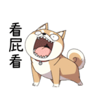 過剰反応する柴犬（個別スタンプ：16）