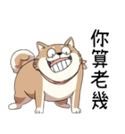 過剰反応する柴犬（個別スタンプ：33）