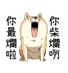 過剰反応する柴犬（個別スタンプ：39）