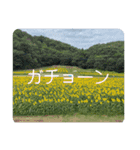 使ってみたい「おやじギャグ」（個別スタンプ：8）