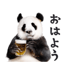 酒ビール！リアルなパンダミーム（日常）（個別スタンプ：13）