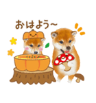 かわいい犬たち❤️よく使う秋❤︎しばけん（個別スタンプ：1）