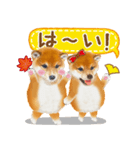 かわいい犬たち❤️よく使う秋❤︎しばけん（個別スタンプ：6）