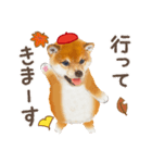 かわいい犬たち❤️よく使う秋❤︎しばけん（個別スタンプ：17）