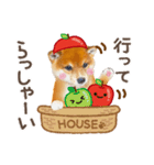 かわいい犬たち❤️よく使う秋❤︎しばけん（個別スタンプ：18）