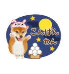 かわいい犬たち❤️よく使う秋❤︎しばけん（個別スタンプ：26）