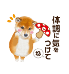 かわいい犬たち❤️よく使う秋❤︎しばけん（個別スタンプ：29）