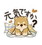 柴犬・茶色い犬【秋・Part 2】2024（個別スタンプ：2）