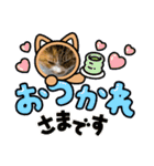 犬違いますわんこです 0（個別スタンプ：6）